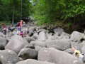 IMG 1662 IMG 1662