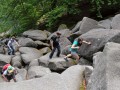 IMG 1667 IMG 1667