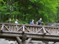 IMG 1706 IMG 1706
