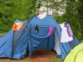 IMG 1786 IMG 1786
