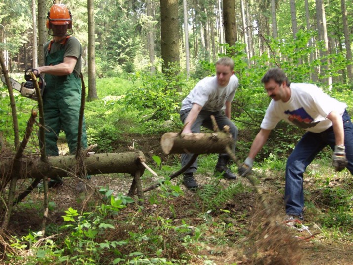 Holz machen 22