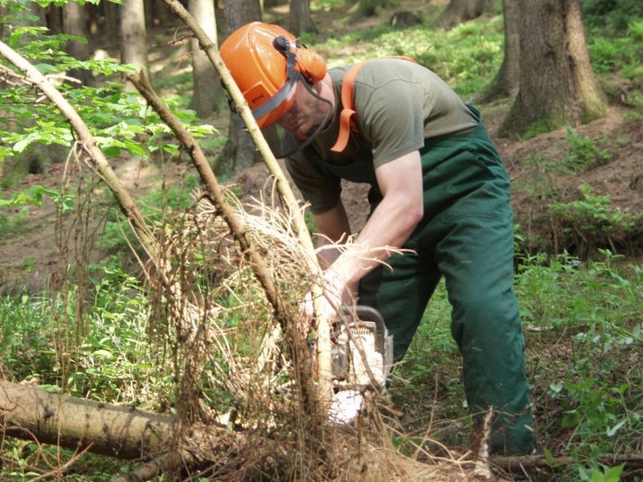 Holz machen 23