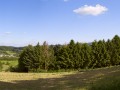 Panorama1 Panorama1