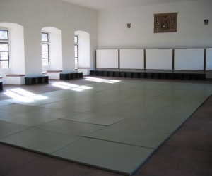 Training im Rittersaal